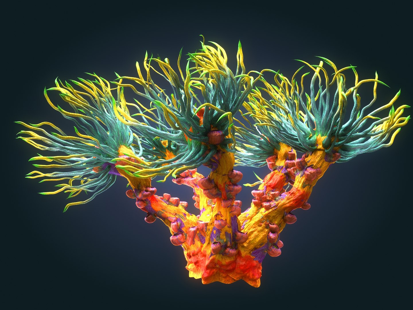3D plants ocean - alien https://p.turbosquid.com/ts-thumb/tm/90oxkQ/RqZGWeIX/89899/jpg/1547169225/1920x1080/fit_q87/1569a9f8a5aa77da66f49d673d4d6c1f80f7d88f/89899.jpg