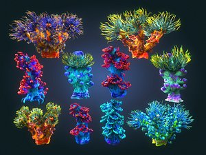 3D plants ocean - alien