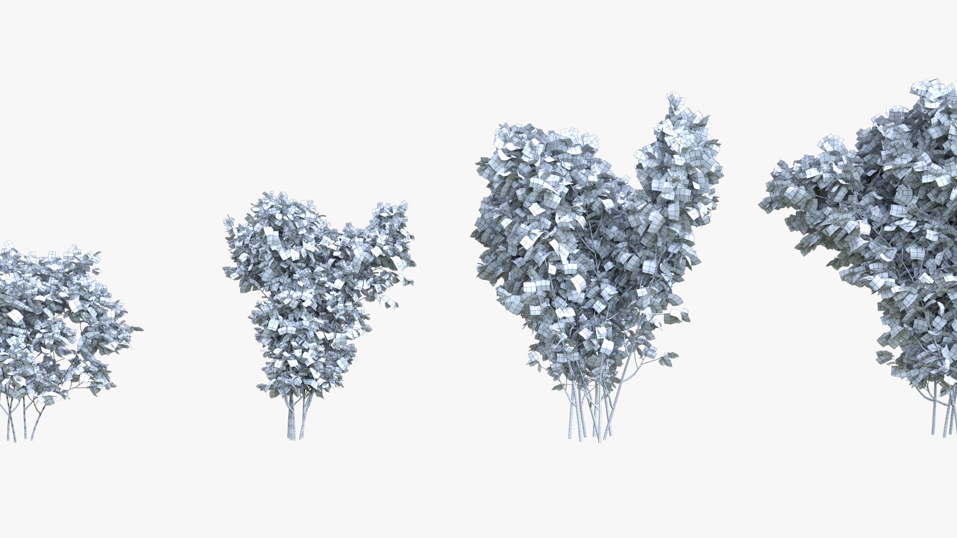 3D Physocarpus animated https://p.turbosquid.com/ts-thumb/tm/C7VEb8/07/wireframe/png/1757496154/1920x1080/fit_q87/19c08315a4ba9a71b9aeac0b184cb517a8f1320f/wireframe.jpg