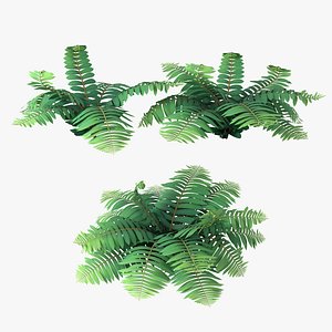 Cartoon Fern Collection