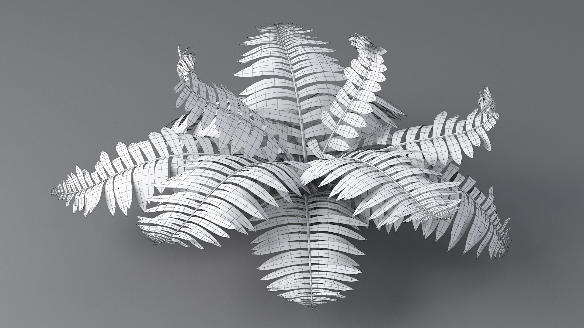 Fern Leaf Tropical Plant Grass Flower Bush Tree Garden Land Forest Park ...