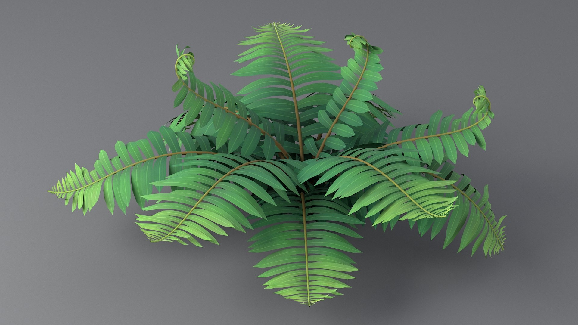 Fern Leaf Tropical Plant Grass Flower Bush Tree Garden Land Forest Park ...