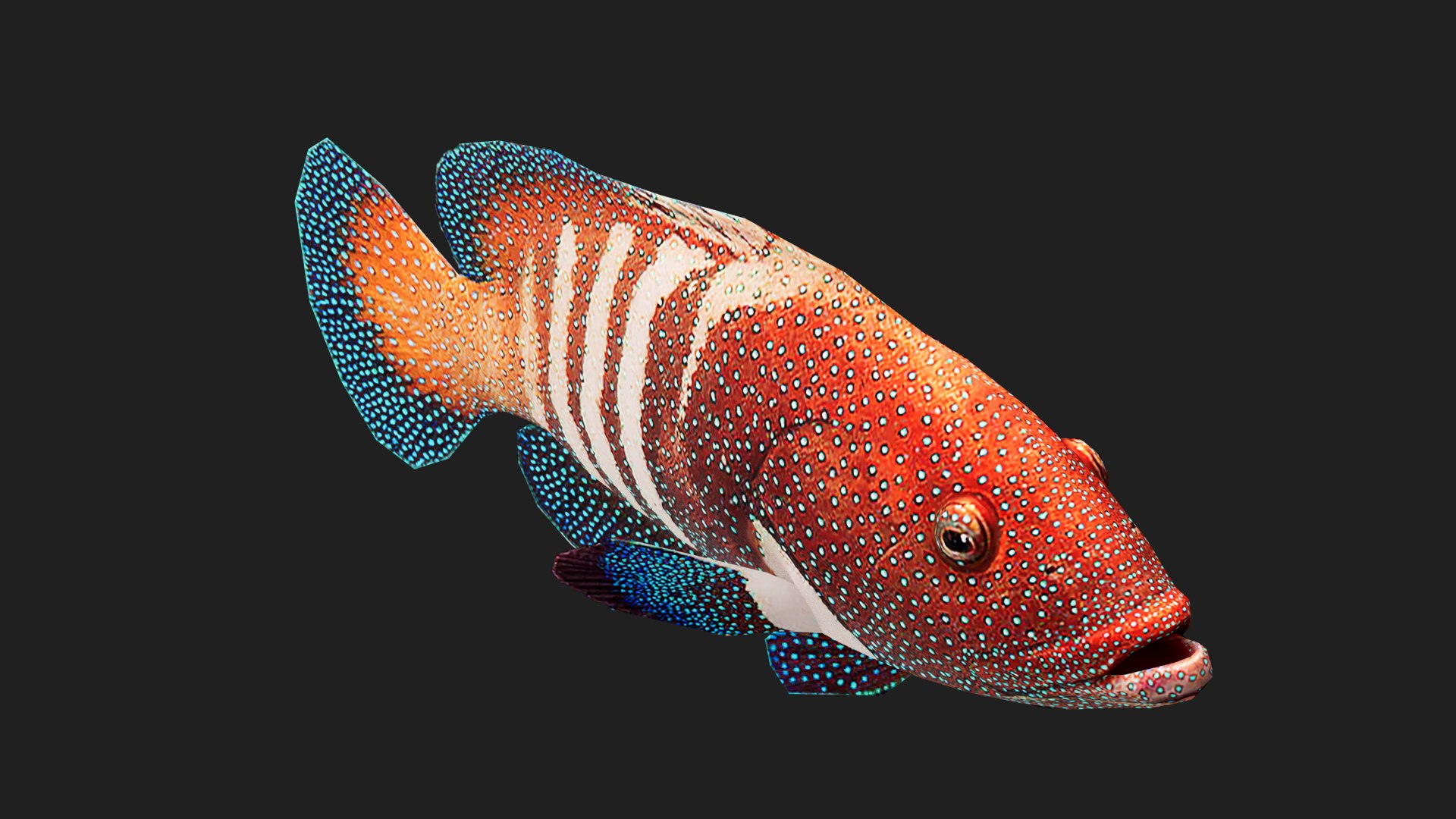 Grouper Model - TurboSquid 2118877