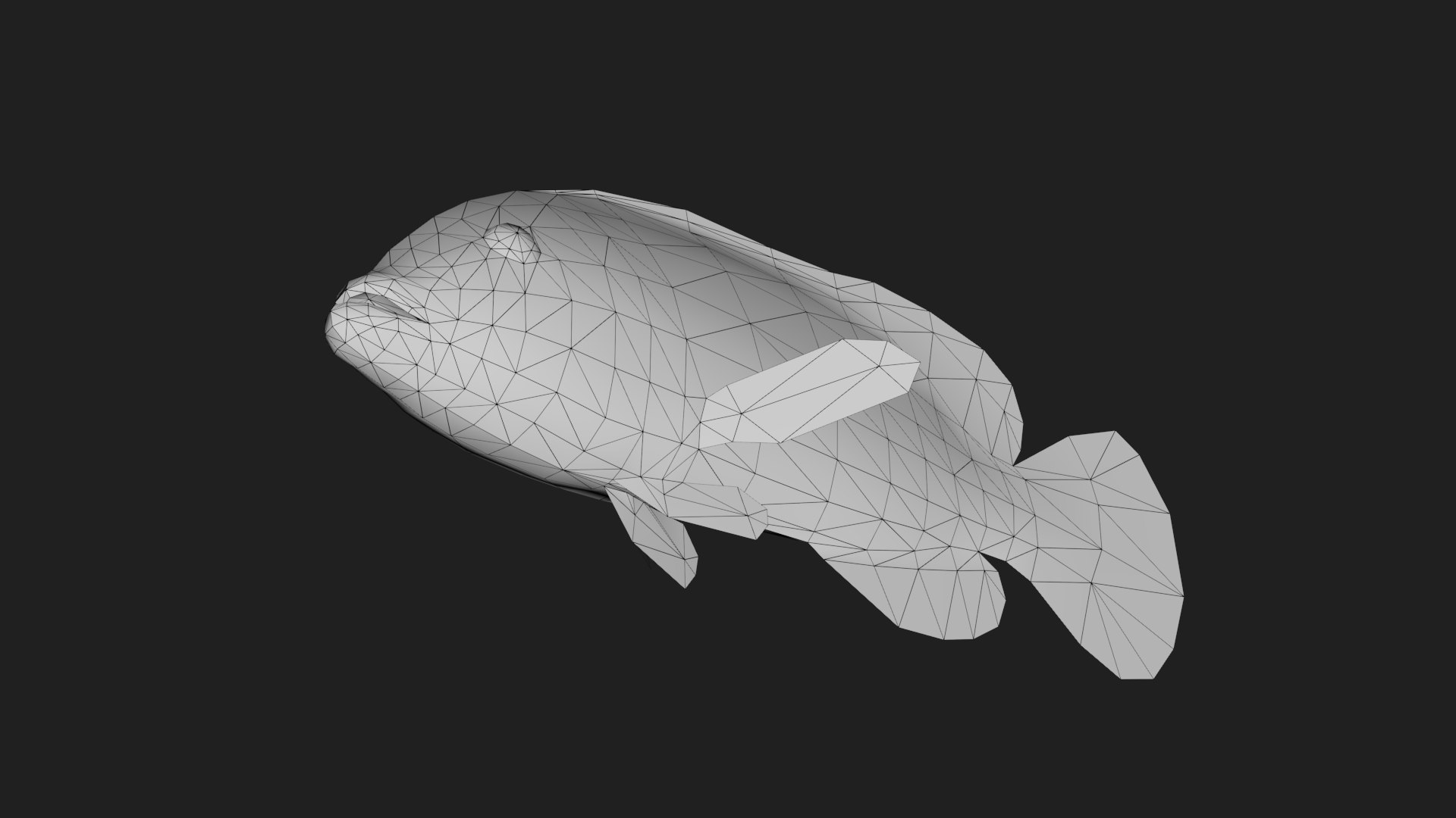 Grouper Model - TurboSquid 2118877