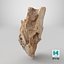 Madera de árbol recortada escaneada 12