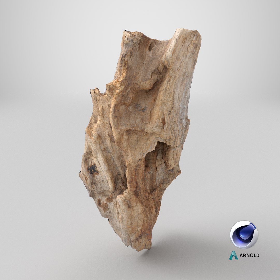 3D Scanned Trimmed Tree Wood 12 https://p.turbosquid.com/ts-thumb/tm/c2y7Ez/SG/stemcell_cinema_4d_arnold_render/png/1768491765/1920x1080/fit_q87/4589276e4f238edff7011a3b25aaeb8bec5bd9c3/stemcell_cinema_4d_arnold_render.jpg