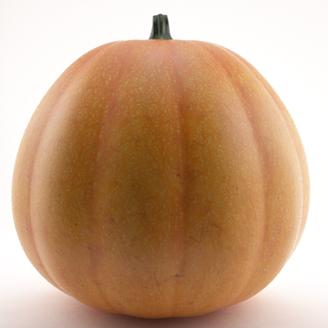 3ds max pumpkin https://p.turbosquid.com/ts-thumb/tm/eBuzvb/WgPxTcOv/pic01/png/1350759662/1920x1080/fit_q87/9f53ff2a115bcaa9b80c5b915952329e7c7a8625/pic01.jpg
