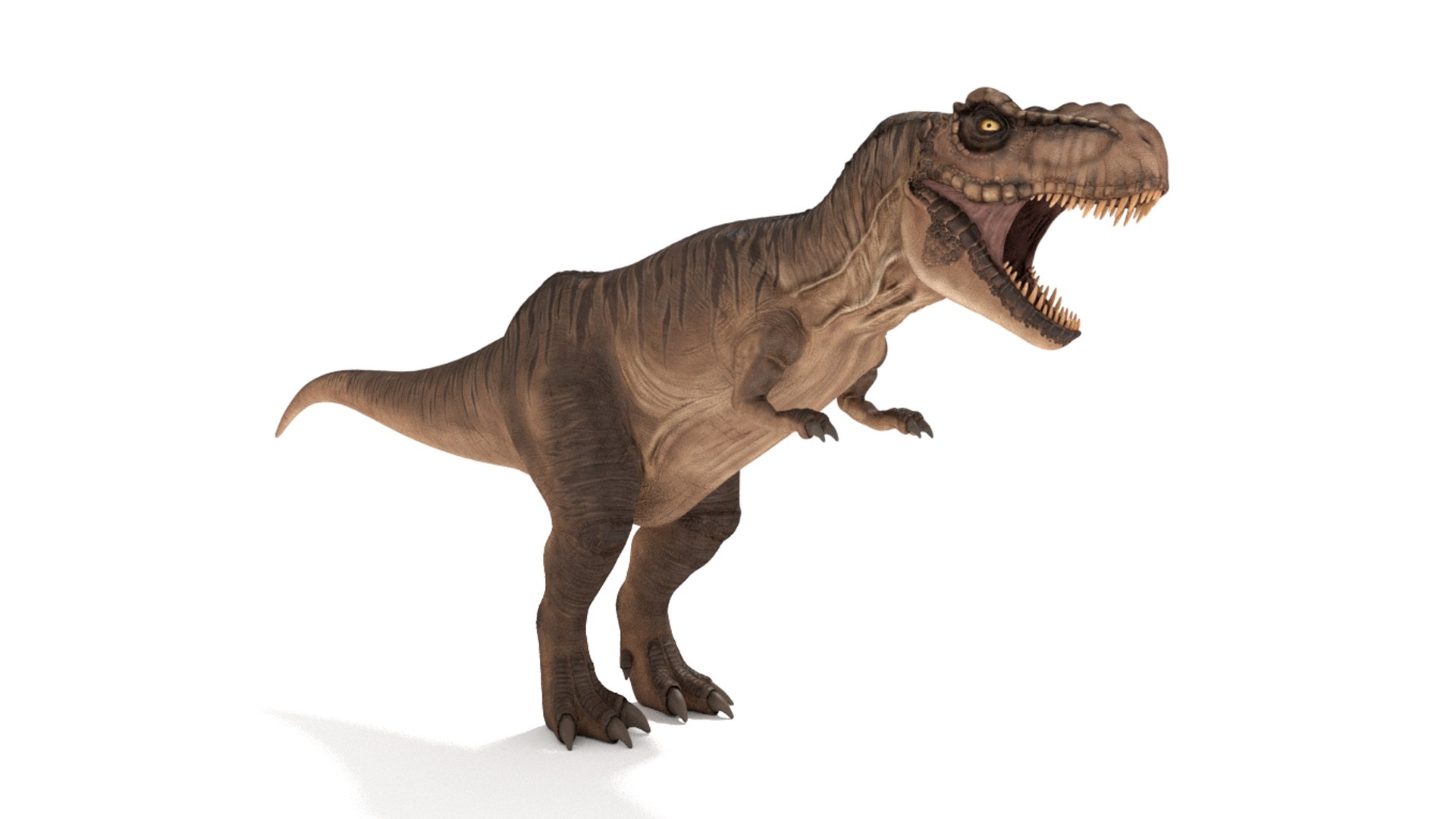 3D tyrannosaurus rex https://p.turbosquid.com/ts-thumb/tm/froFZk/3q/img_4/jpg/1624573459/1920x1080/fit_q87/8e4e41c0f661a34e25798c6f65b5694da240e691/img_4.jpg