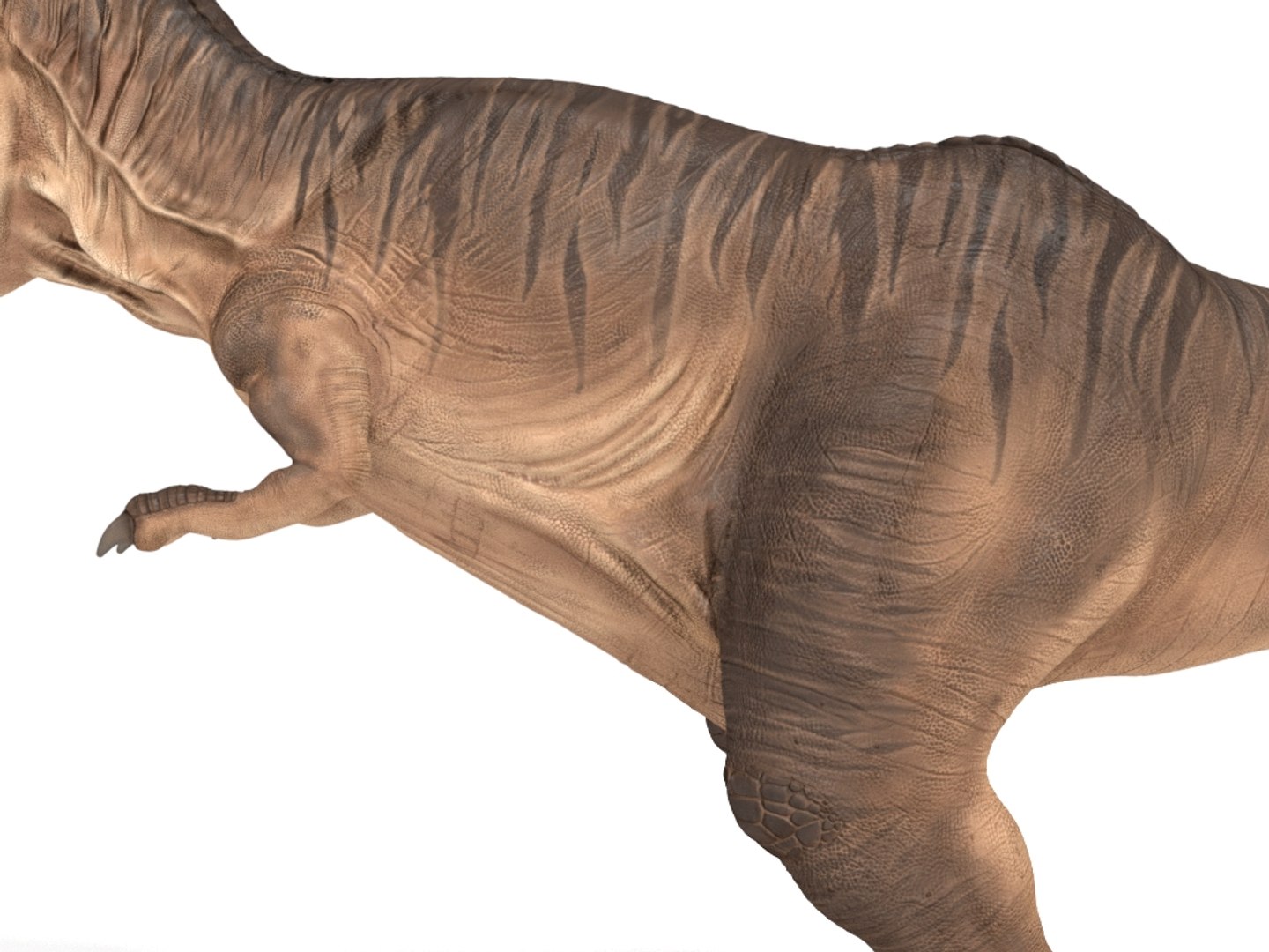 3D tyrannosaurus rex https://p.turbosquid.com/ts-thumb/tm/froFZk/MF/img_14/jpg/1624573457/1920x1080/fit_q87/c88bb8b6fb45c1a9f7d63ee2463fe0401cd93721/img_14.jpg