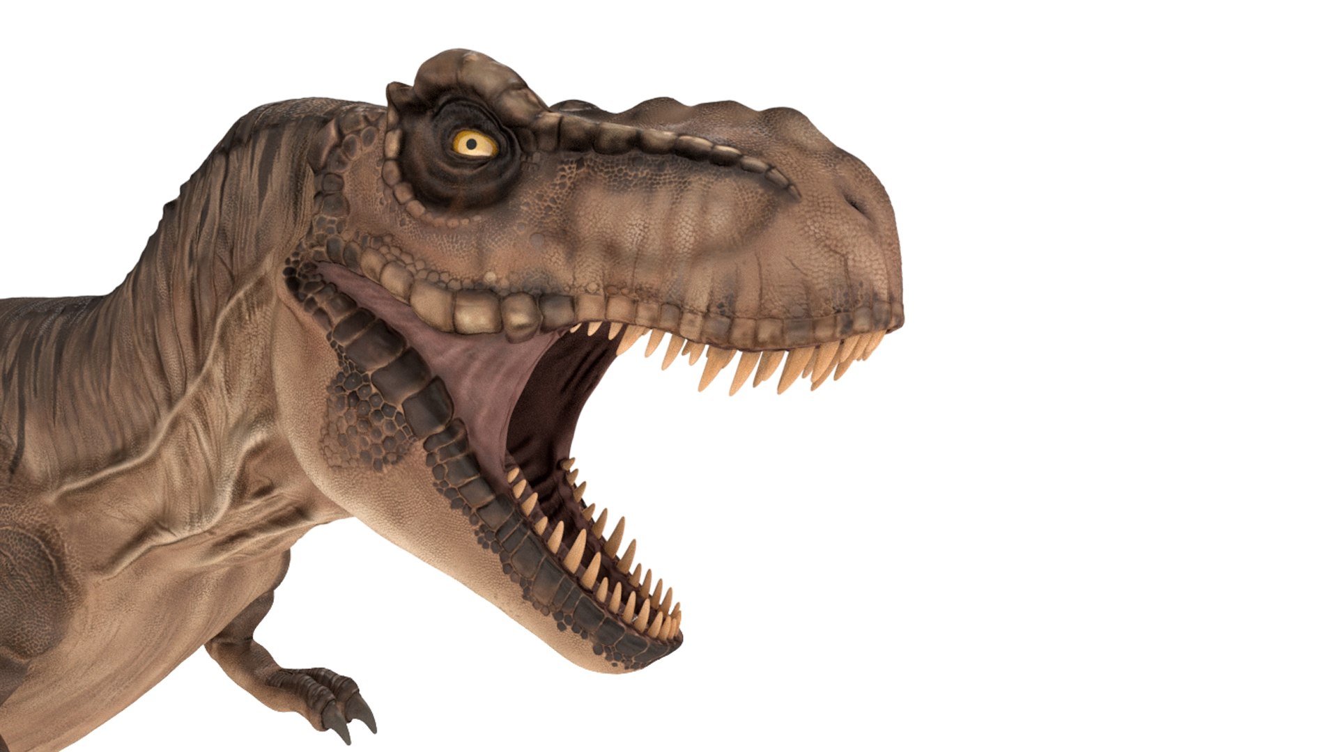 3D tyrannosaurus rex https://p.turbosquid.com/ts-thumb/tm/froFZk/Nu/img_5/jpg/1624573460/1920x1080/fit_q87/260d27e8b1b1f9593895ab0a9dd70611fd262b61/img_5.jpg