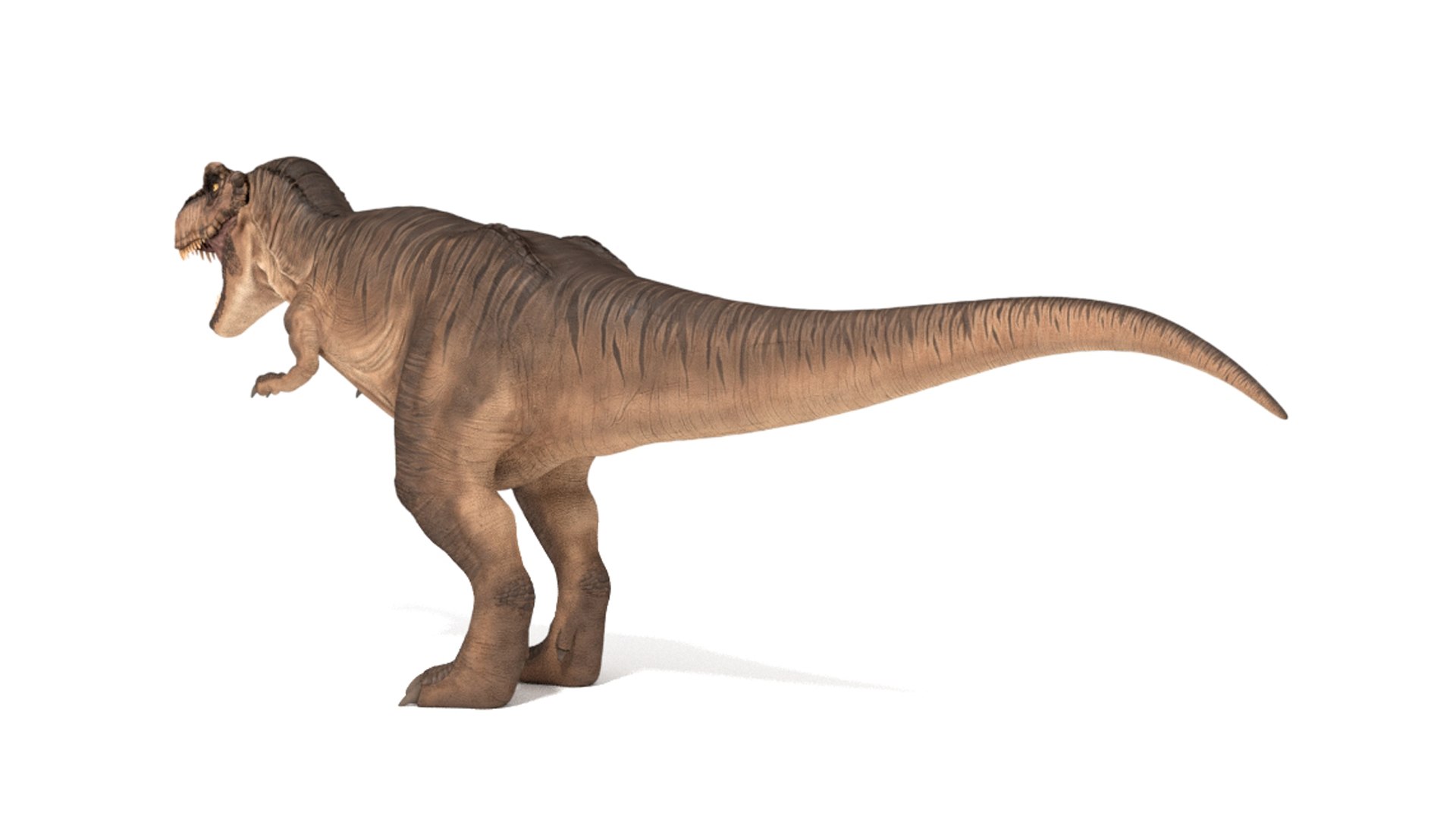 3D tyrannosaurus rex https://p.turbosquid.com/ts-thumb/tm/froFZk/Vu/img_2/jpg/1624573458/1920x1080/fit_q87/ecd0fcdcfa961bf486533a9391d88a15904d0f1b/img_2.jpg