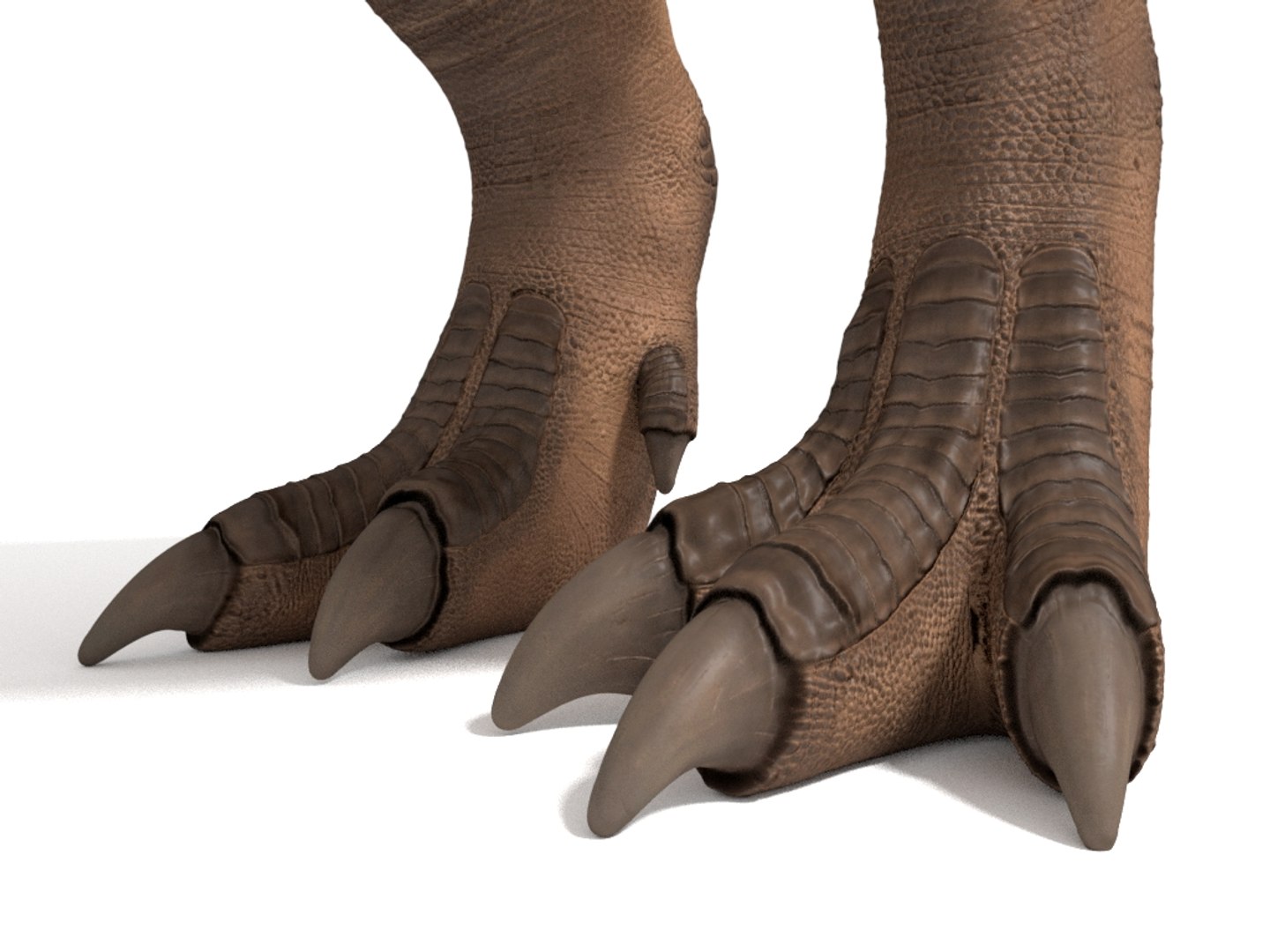 3D tyrannosaurus rex https://p.turbosquid.com/ts-thumb/tm/froFZk/bu/img_9/jpg/1624573457/1920x1080/fit_q87/c251837e34992f1c9b1de24ae39436629592ea70/img_9.jpg