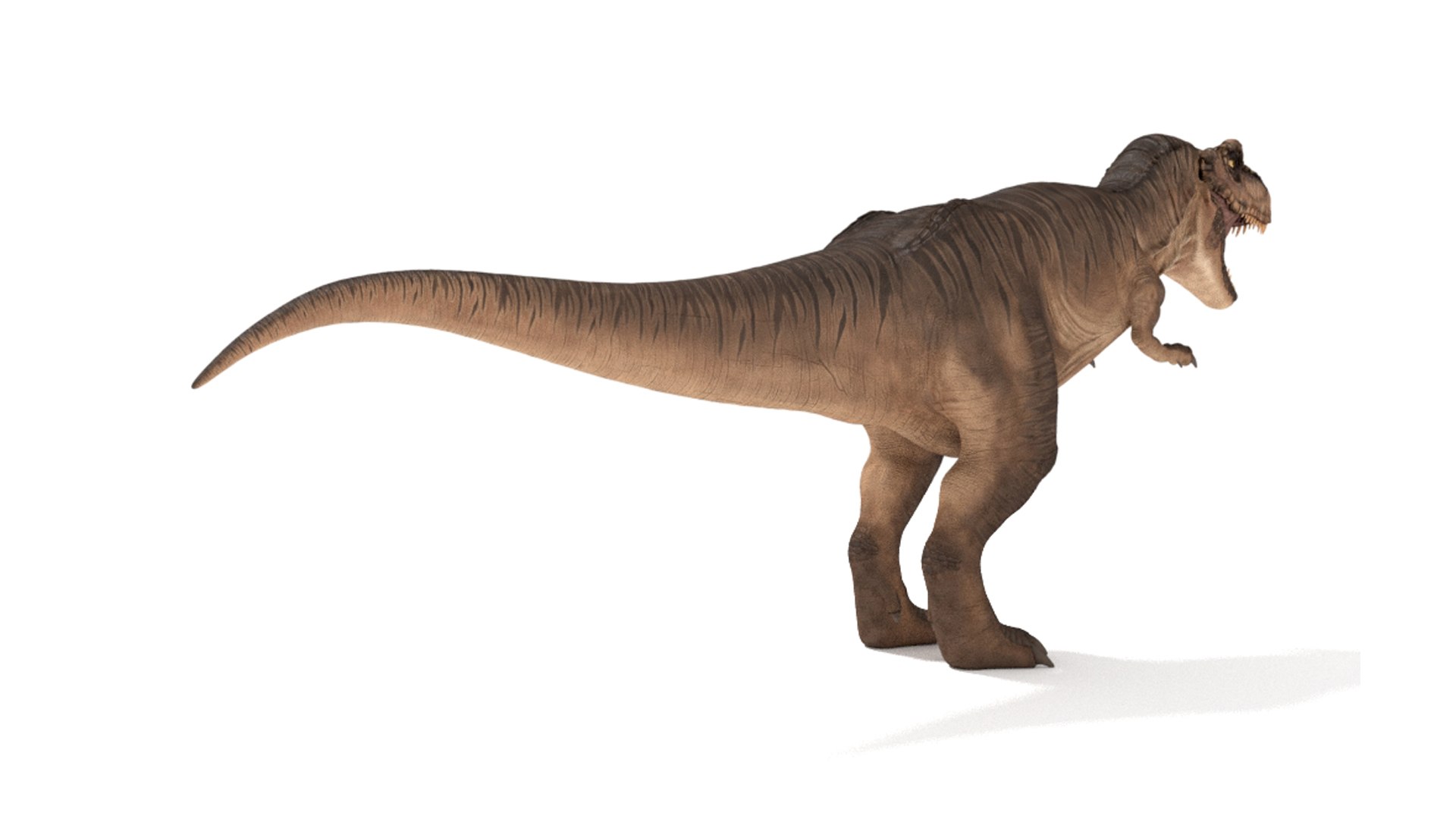 3D tyrannosaurus rex https://p.turbosquid.com/ts-thumb/tm/froFZk/c6/img_3/jpg/1624573459/1920x1080/fit_q87/97b51b0472d81b7a58183e2127700424d8e18414/img_3.jpg
