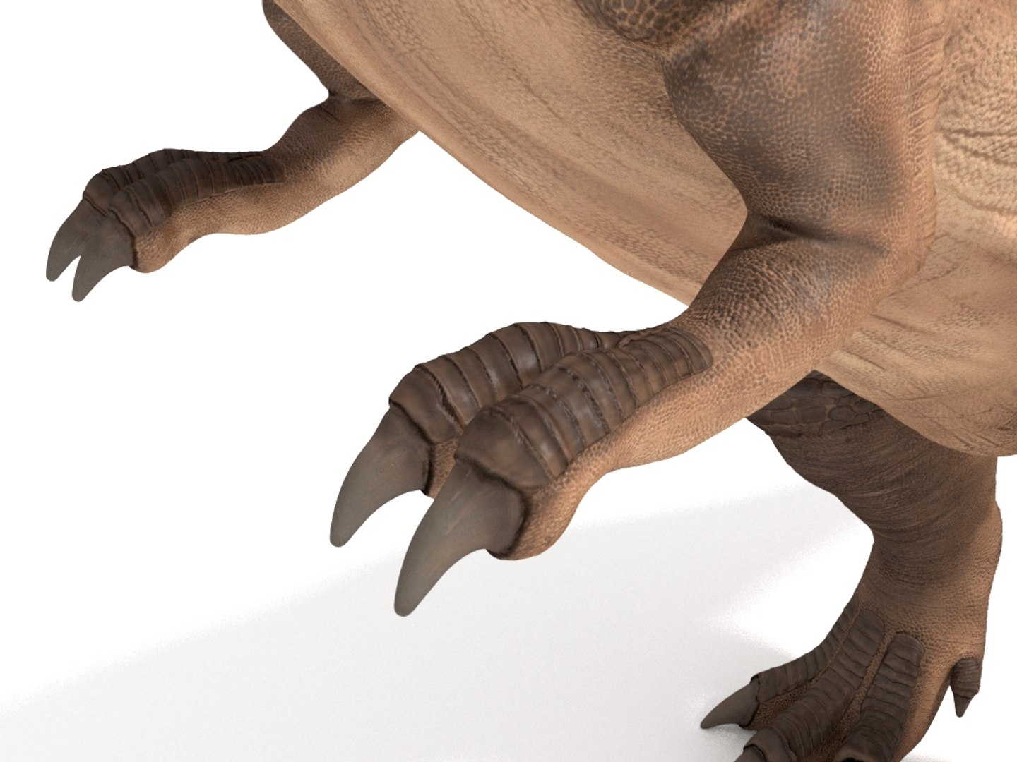3D tyrannosaurus rex https://p.turbosquid.com/ts-thumb/tm/froFZk/ug/img_8/jpg/1624573455/1920x1080/fit_q87/0125a56666968bc498063c112b374c4d40554cc5/img_8.jpg