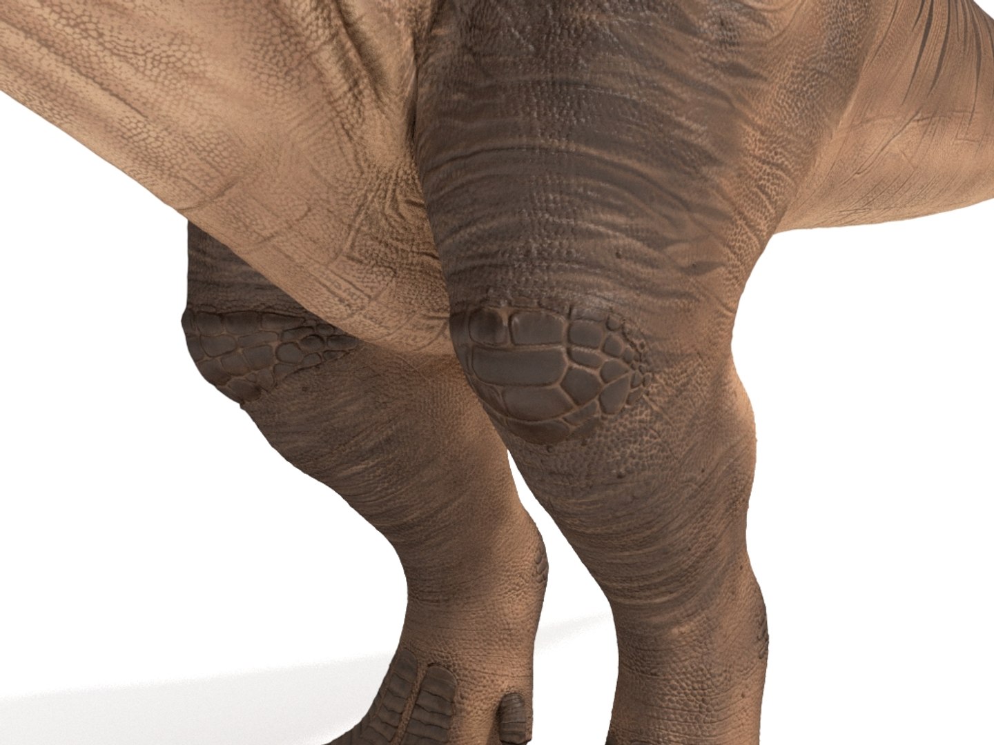 3D tyrannosaurus rex https://p.turbosquid.com/ts-thumb/tm/froFZk/yr/img_10/jpg/1624573457/1920x1080/fit_q87/71714e4e894b0203ac50856ab58c4837720157dc/img_10.jpg