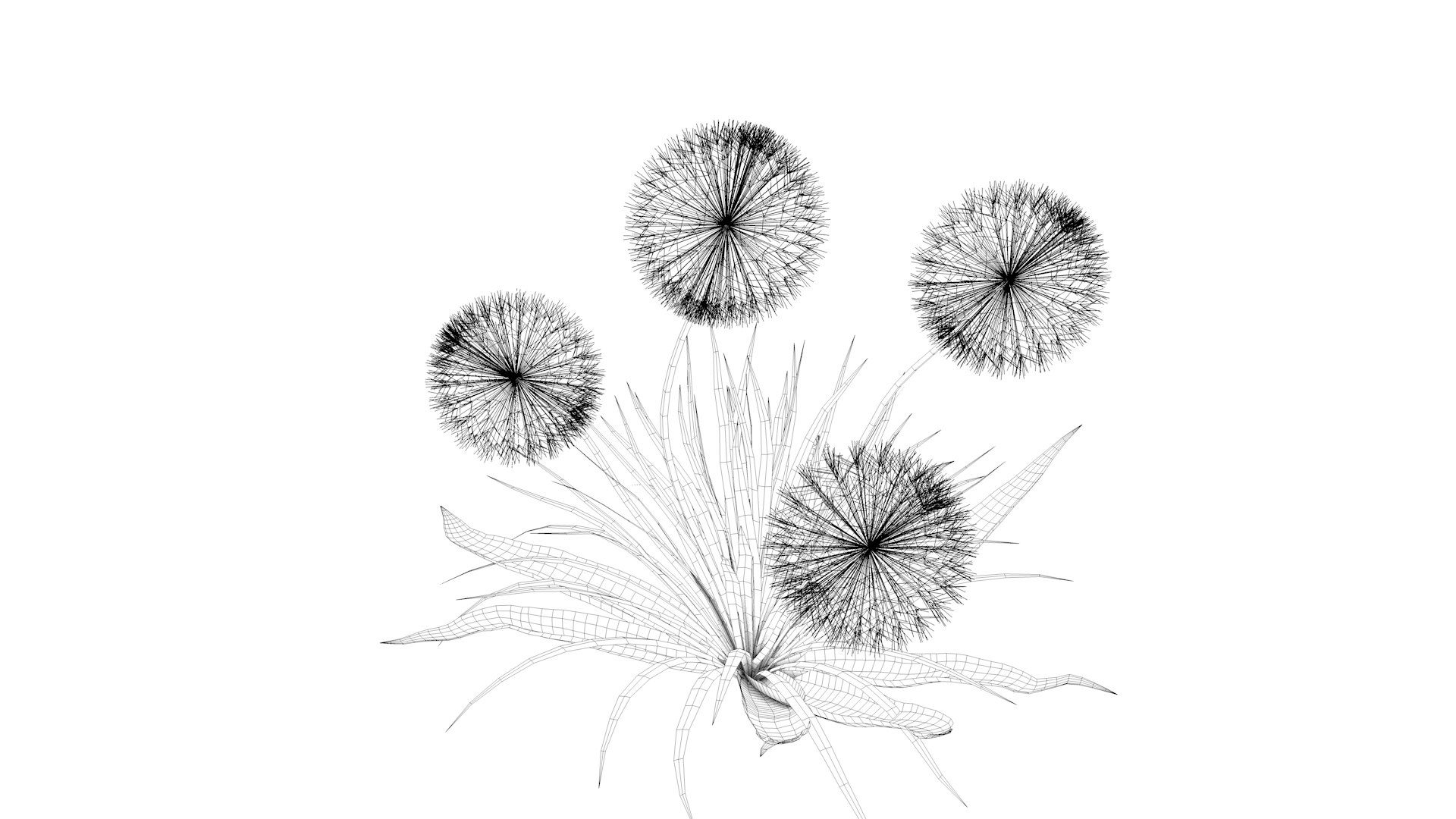 Ripe Dandelion Plant 3D model https://p.turbosquid.com/ts-thumb/tm/iOpnj2/DV/cel0000/jpg/1618060366/1920x1080/fit_q87/682129beeeaef94505499e2131093239bbf882d2/cel0000.jpg