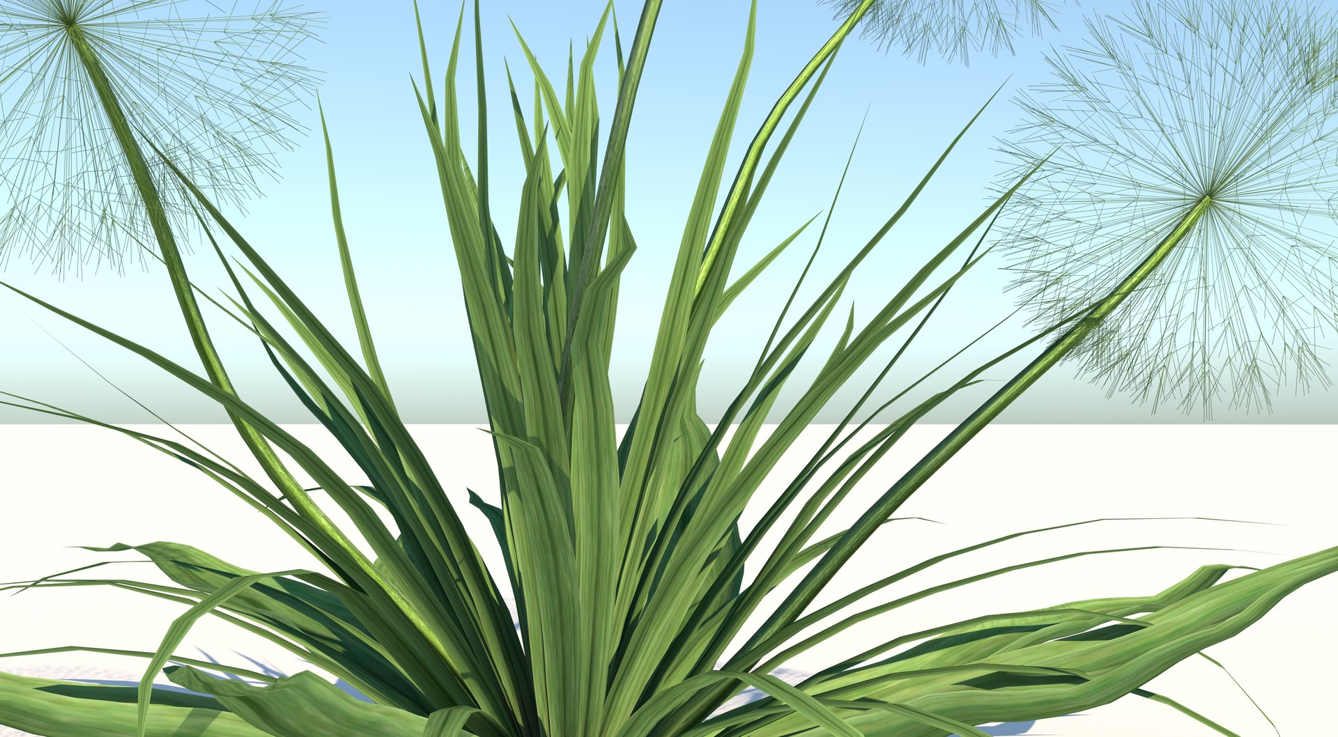 Ripe Dandelion Plant 3D model https://p.turbosquid.com/ts-thumb/tm/iOpnj2/Mq/6/jpg/1618060455/1920x1080/fit_q87/0842d51fb93690348db18090e9c3dd2f6edde2ee/6.jpg
