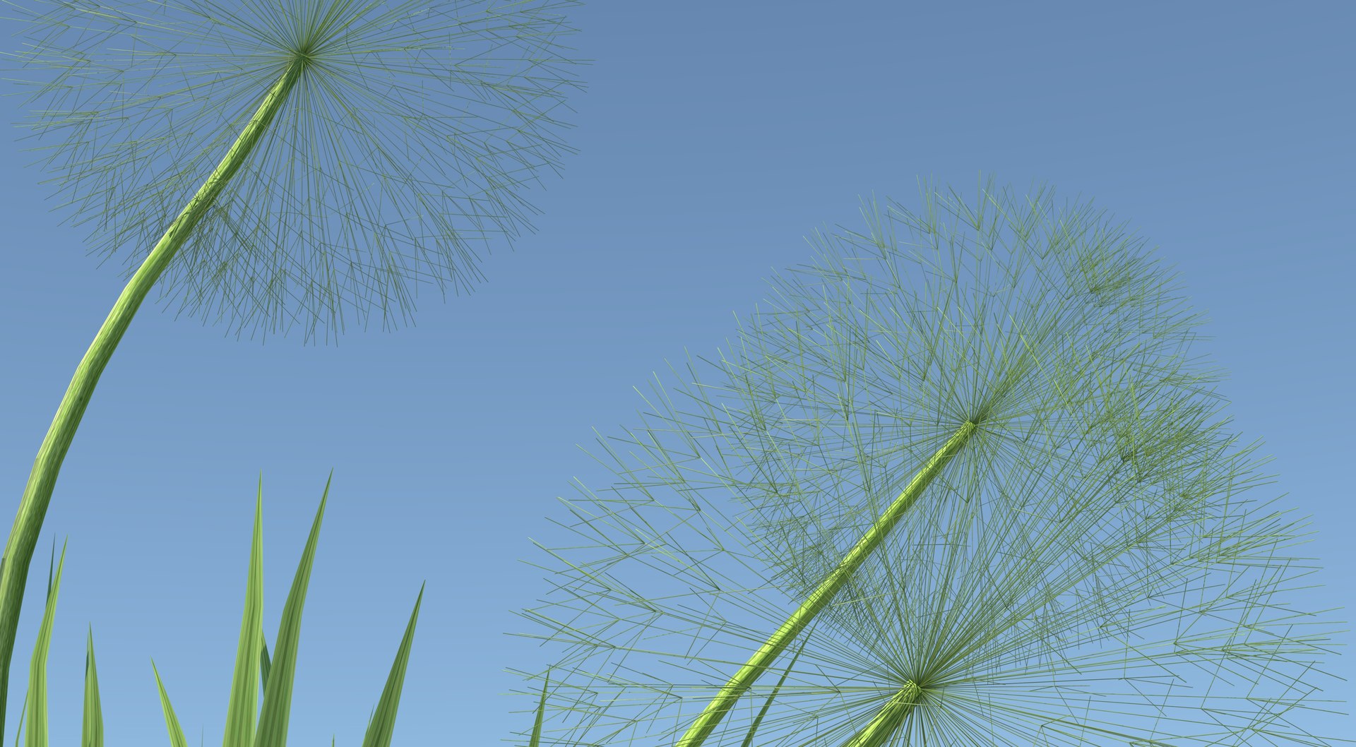 Ripe Dandelion Plant 3D model https://p.turbosquid.com/ts-thumb/tm/iOpnj2/fx/4/jpg/1618060312/1920x1080/fit_q87/73df8167dc58b2b9a6634715808ff51fc34dc493/4.jpg