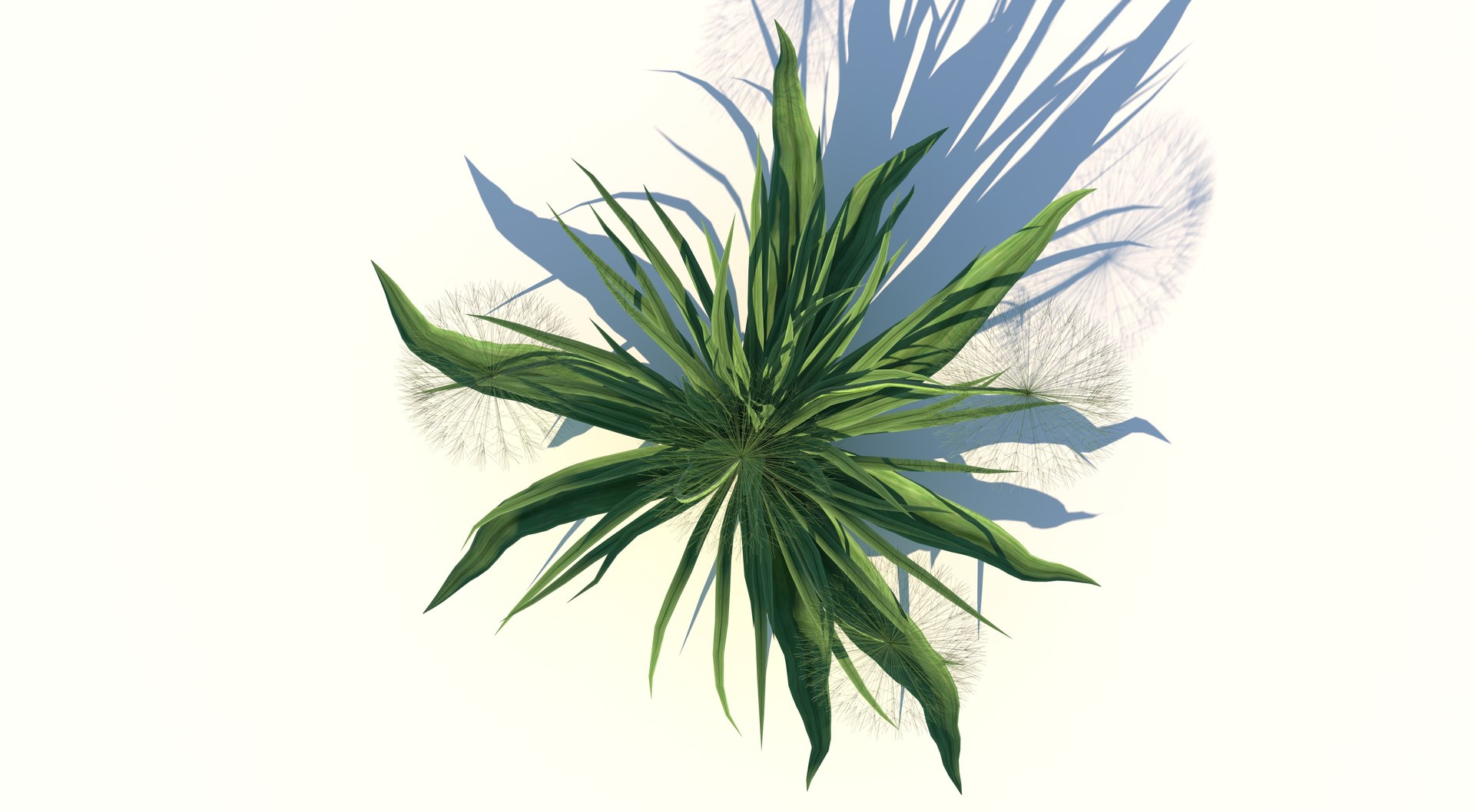 Ripe Dandelion Plant 3D model https://p.turbosquid.com/ts-thumb/tm/iOpnj2/rn/5/jpg/1618060196/1920x1080/fit_q87/9df95d9ead6206a620bb45ab58d28ad5898a50d9/5.jpg