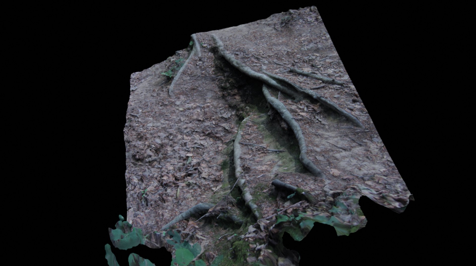 section forest floor 3D model https://p.turbosquid.com/ts-thumb/tn/6A3PKO/2WXUPXa2/ground2/png/1582804868/1920x1080/fit_q87/0e2ab2ddc21f9292f69c041950cdfc5c833c13e5/ground2.jpg