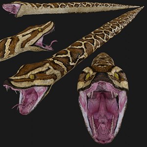 python rigged 3D