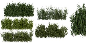 3D model Collection plant vol 309 - blender model