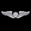 USAF Wings バッジセット 3D モデルパック