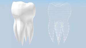 tooth 3ds