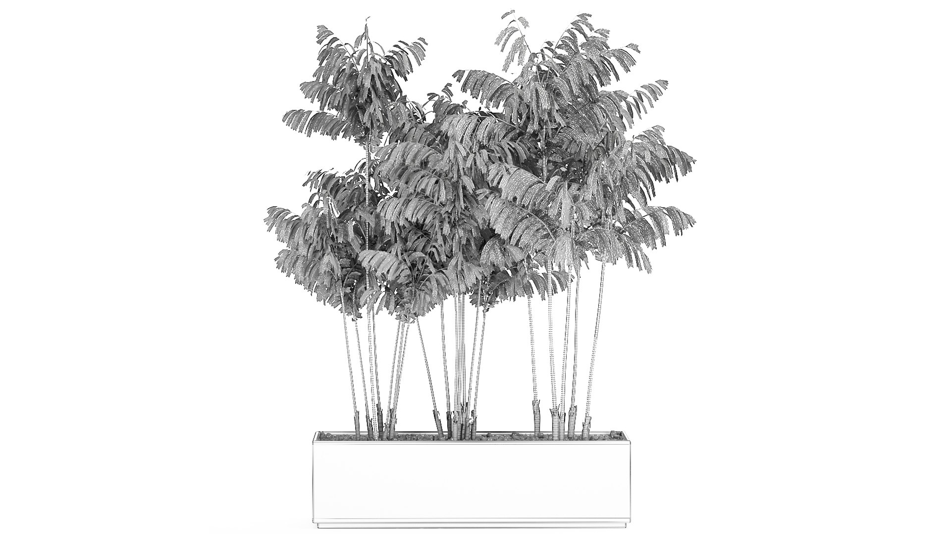 3D pots chamaedorea decorative model https://p.turbosquid.com/ts-thumb/tn/QiKV9e/Sd/1chamaedorea06012020xxl09/jpg/1610023537/1920x1080/fit_q87/9c485fdf75e013059954101fca3a2650b20923c7/1chamaedorea06012020xxl09.jpg