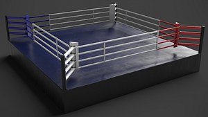 3D Boxing Ring