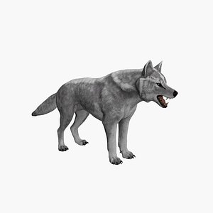 Wolf 3D model
