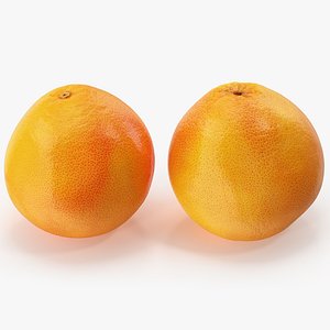 grapefruit 01-02 hi polys model