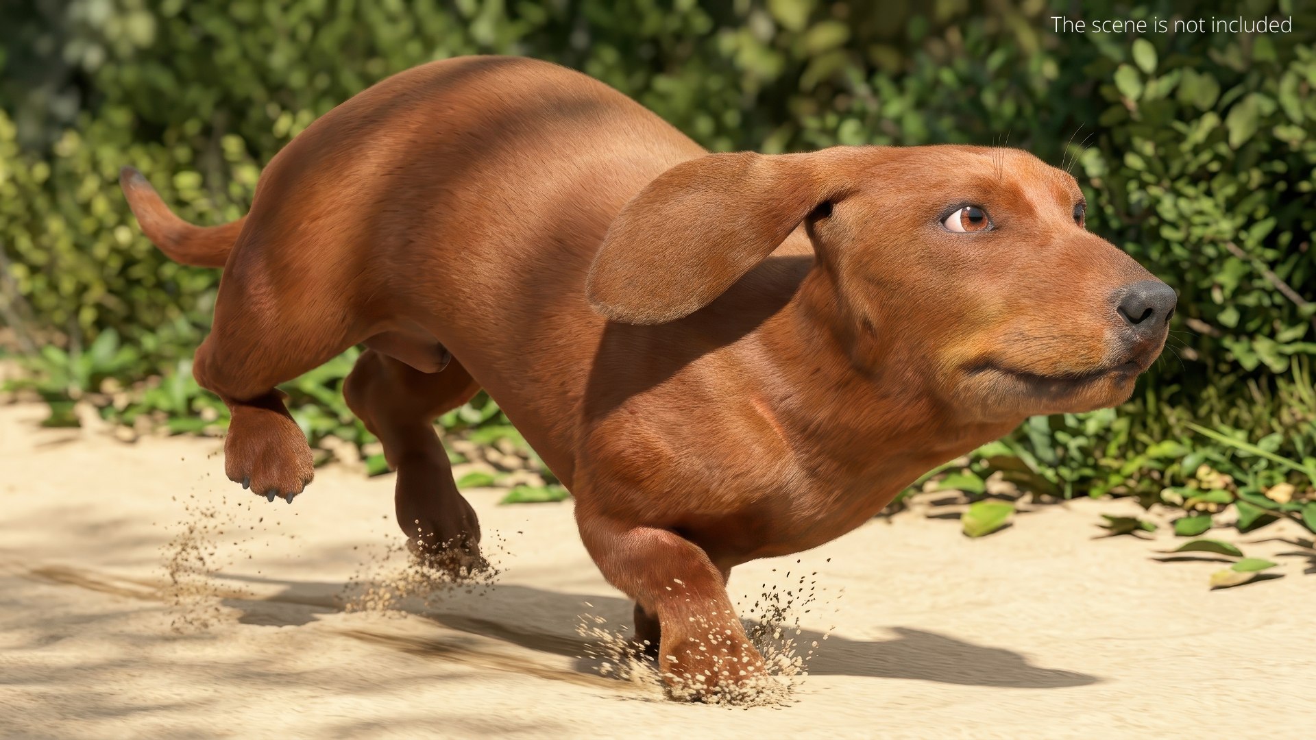 Dachshund Brown Running Fur Animated Rigged for Maya 3D model https://p.turbosquid.com/ts-thumb/tn/xaA2Y9/3F/dachshund_brown_running_fur_animation_rigged_for_maya_004/jpg/1776819030/1920x1080/fit_q87/df655905dc5d8c6ec339b50d33989c07baf15f00/dachshund_brown_running_fur_animation_rigged_for_maya_004.jpg