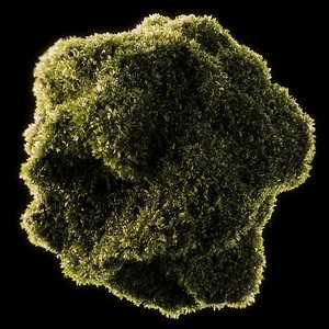 Moss Low Poly 4