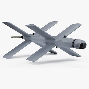 Kamikaze Attack Unmanned Aerial Vehicle