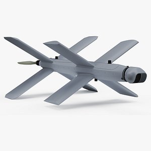 Kamikaze Attack Unmanned Aerial Vehicle