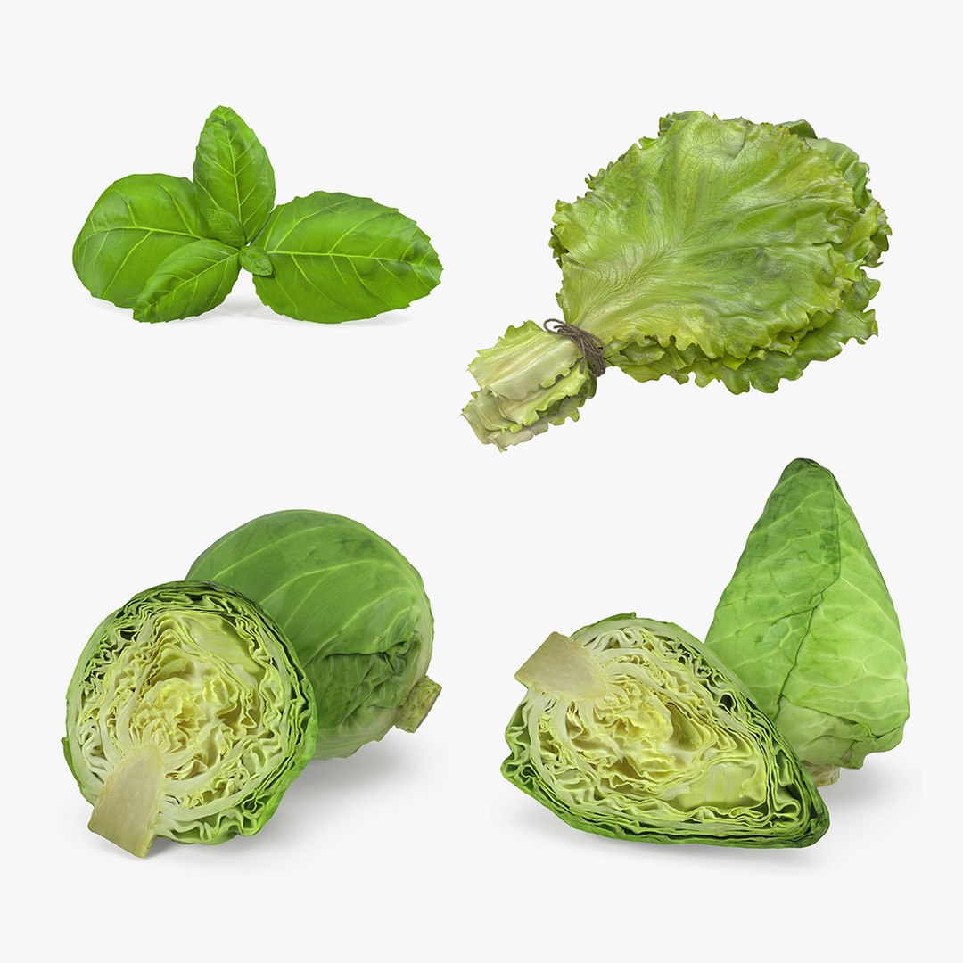 Salad Greens Collection 3D model preview