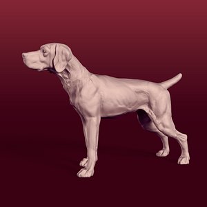 Pointer Dog Statue - Figurine
