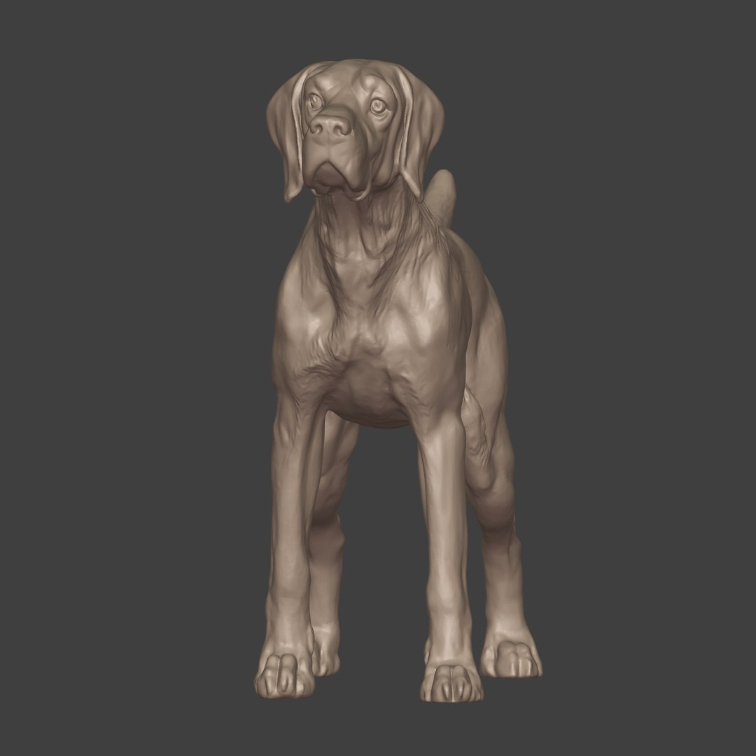 3D Dog Model - TurboSquid 2084571