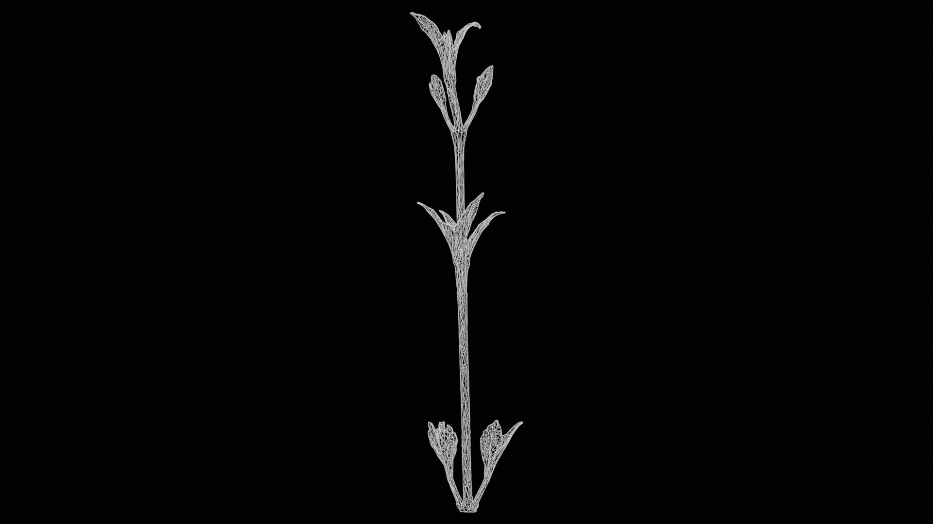 Cornus Mas Dogwood Cornaceae Sprout Remastered 3D https://p.turbosquid.com/ts-thumb/to/cPQN9p/fa/cornus_mas_dogwood_cornaceae_sprout_11/jpg/1740389937/1920x1080/fit_q87/9b2bde28900d4511d2a82734160ace5b0937cf63/cornus_mas_dogwood_cornaceae_sprout_11.jpg