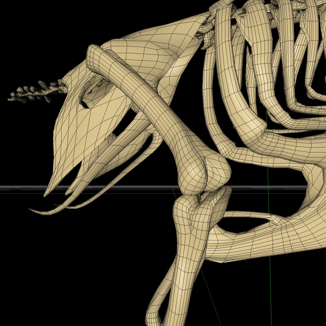 bone dove 3D https://p.turbosquid.com/ts-thumb/to/jzKoDI/O1Ubzr71/hone_v25/png/1523021431/1920x1080/fit_q87/d2902cca15f07bcefffcd9216cc9ff331dda67a7/hone_v25.jpg