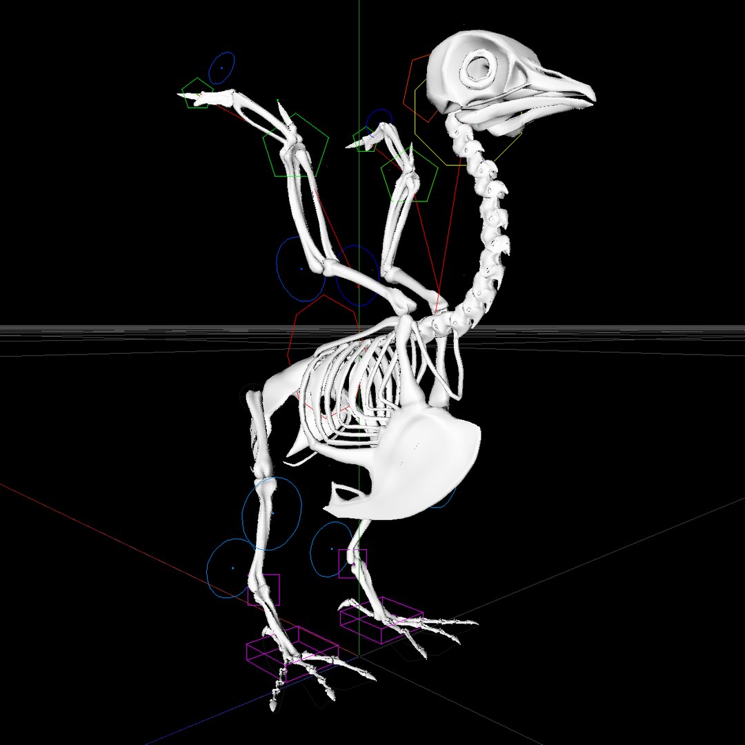 bone dove 3D https://p.turbosquid.com/ts-thumb/to/jzKoDI/bDq6ANuz/hone_v29/png/1523021548/1920x1080/fit_q87/d02988bdcf10b1759897f18a5ff1730e84b99750/hone_v29.jpg