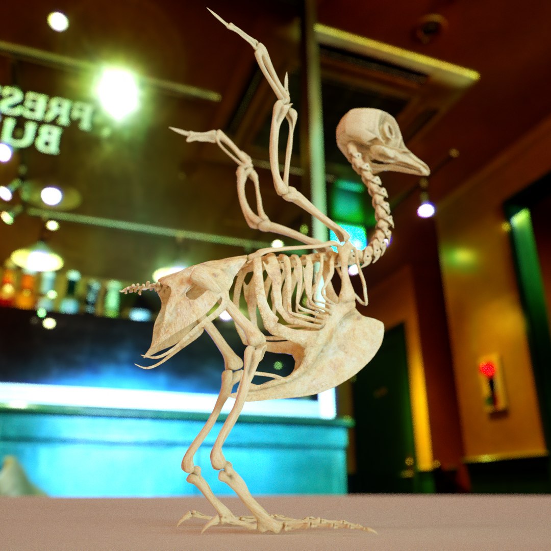 bone dove 3D https://p.turbosquid.com/ts-thumb/to/jzKoDI/cuKyKymE/hone_v01/png/1523012779/1920x1080/fit_q87/f3dacdd2f7853d4045f5c64d6ec4749cbe7fadc3/hone_v01.jpg