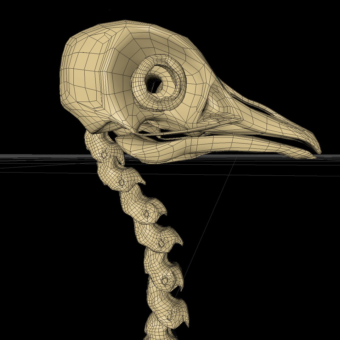 bone dove 3D https://p.turbosquid.com/ts-thumb/to/jzKoDI/pJYh3rvL/hone_v15/png/1523014147/1920x1080/fit_q87/8bee095134f73a3e7604e51cc43f328ff2660a23/hone_v15.jpg