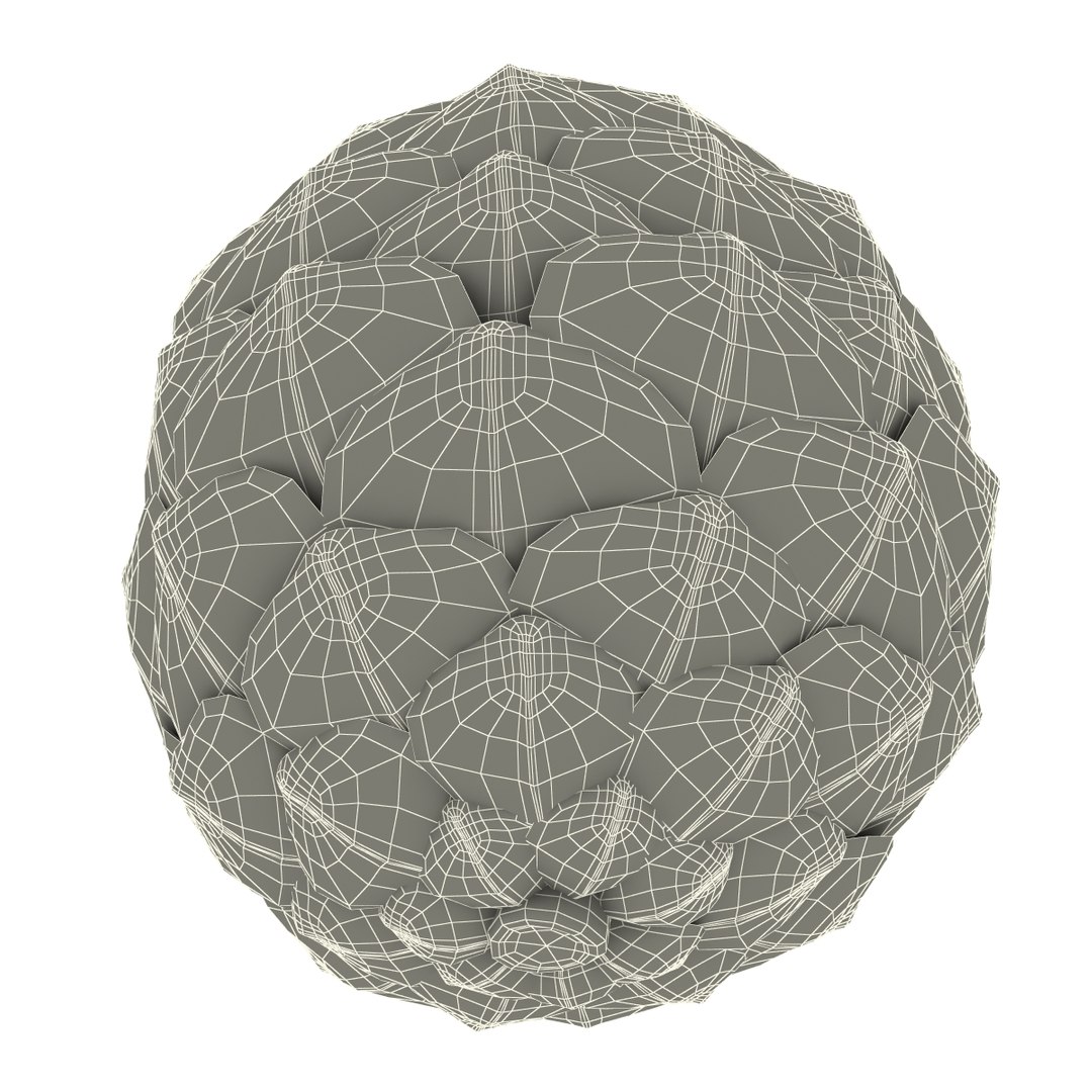 3ds Max Fir Cones