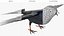 Purple Martin Bird