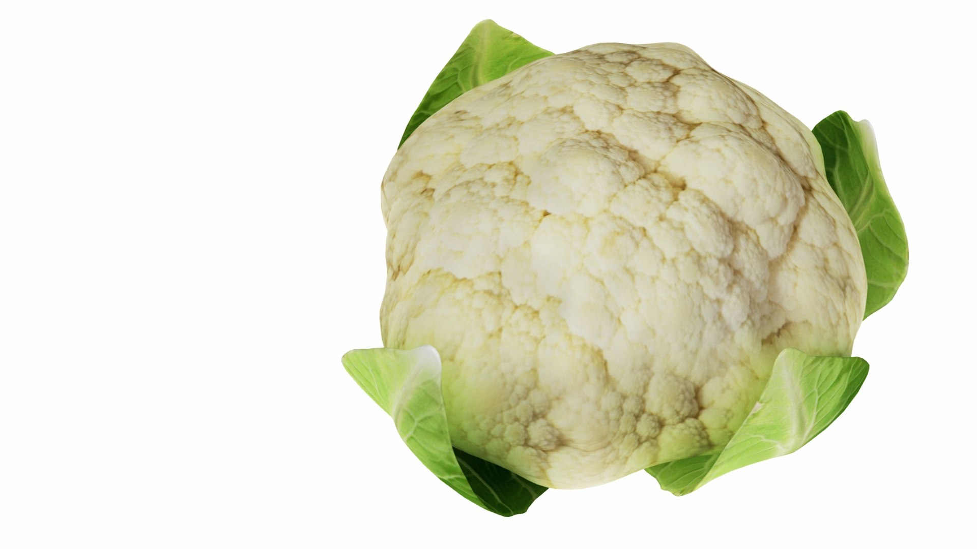 3D model cauliflower flower https://p.turbosquid.com/ts-thumb/tp/DYrVdw/XrTnDQnZ/0cauliflower4/jpg/1588515626/1920x1080/fit_q87/a16eed856bc3cad8feca012b16a8ad51547c1978/0cauliflower4.jpg