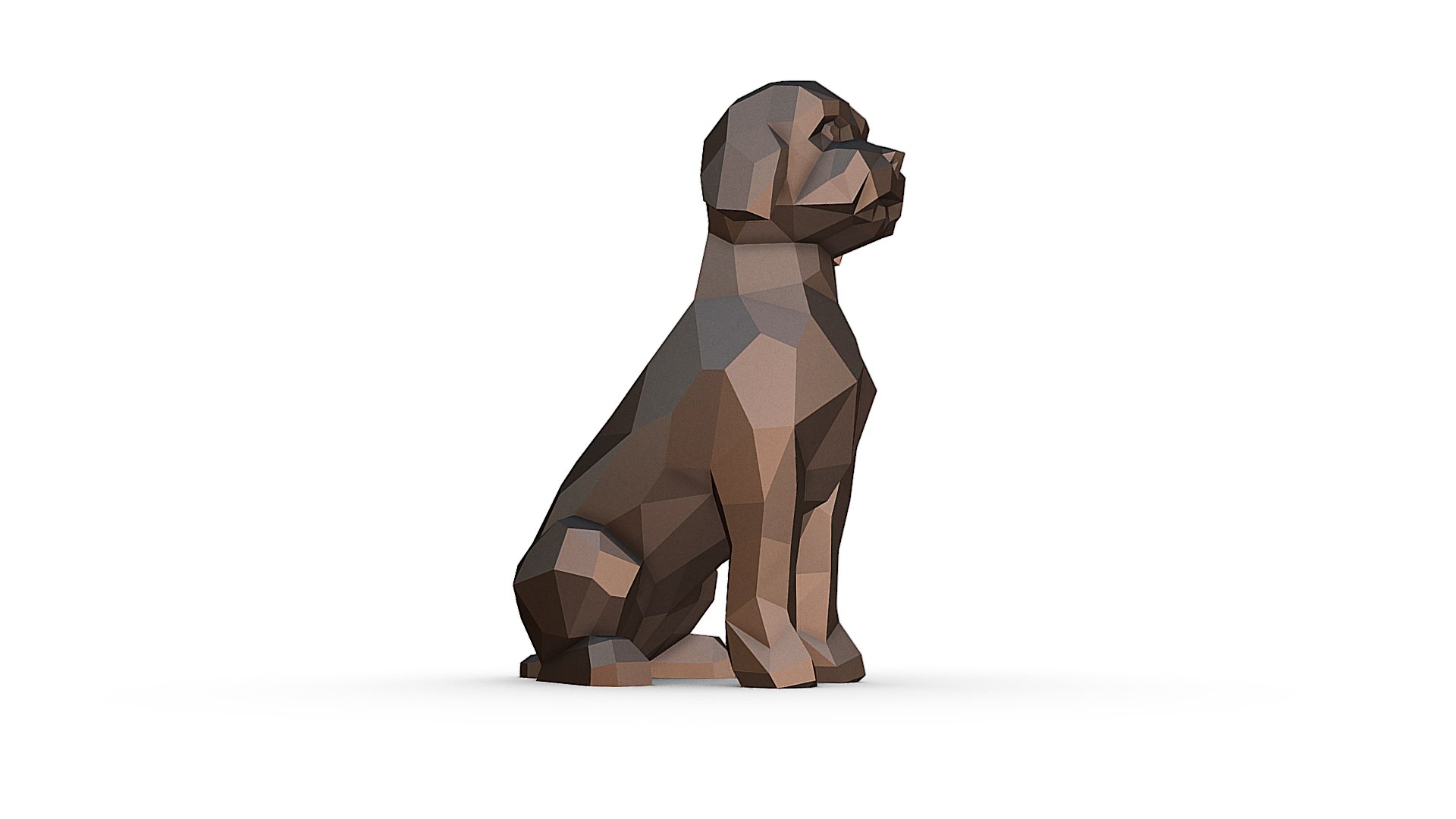 Lagotto Romagnolo 3D https://p.turbosquid.com/ts-thumb/tp/IYR1Oh/2B/im_09/jpg/1643297712/1920x1080/fit_q87/843343da6e1651737cc127adbe5aeb653d8a7e2b/im_09.jpg
