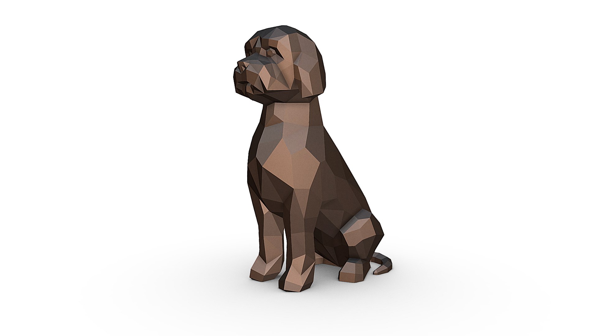 Lagotto Romagnolo 3D - TurboSquid 1846314