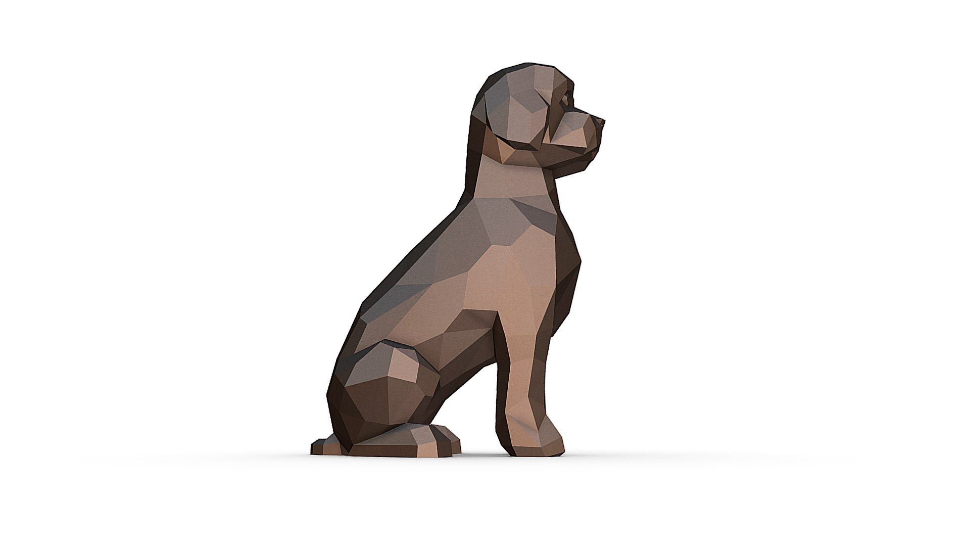 Lagotto Romagnolo 3D https://p.turbosquid.com/ts-thumb/tp/IYR1Oh/td/im_08/jpg/1643297712/1920x1080/fit_q87/850f3c666df1e97de138cbf63ad7fdc3a6f699a9/im_08.jpg